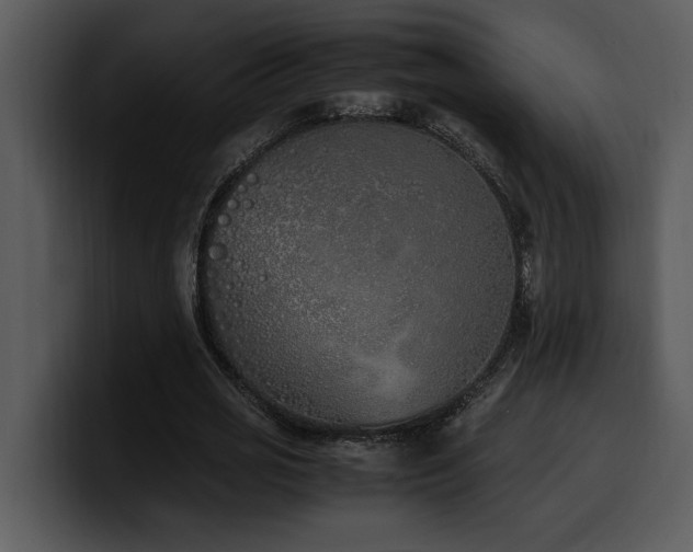 X0000100770725200806191240