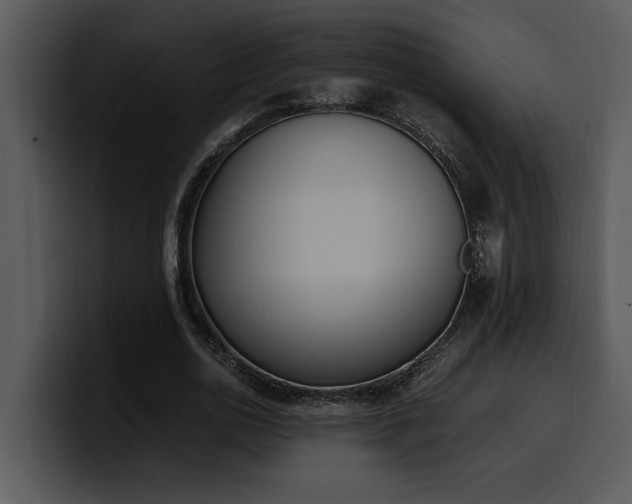 X0000100770726200806191240