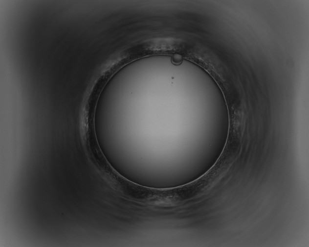 X0000100770727200806191240