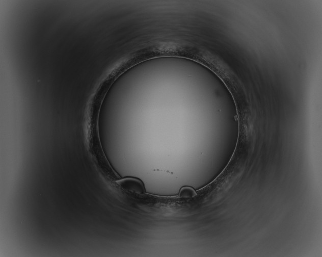 X0000100770728200806191240