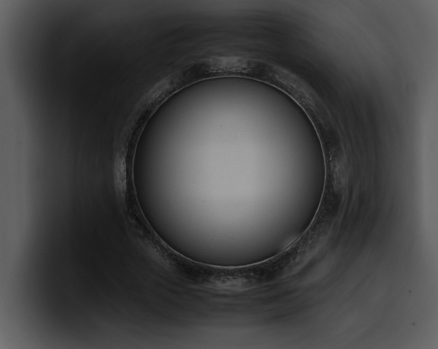X0000100770729200806191240