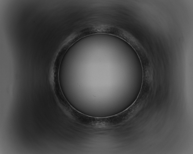 X0000100770730200806191240
