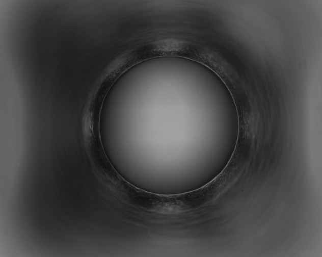 X0000100770731200806191240