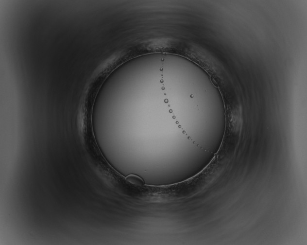 X0000100770732200806191240