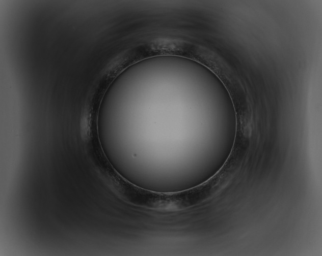 X0000100770735200806191240