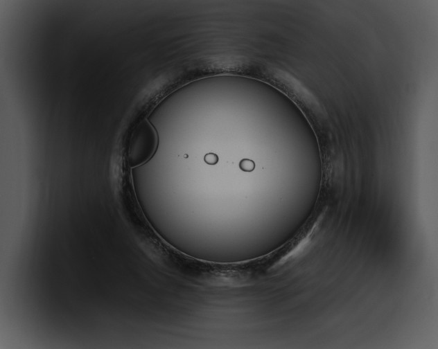 X0000100770736200806191240