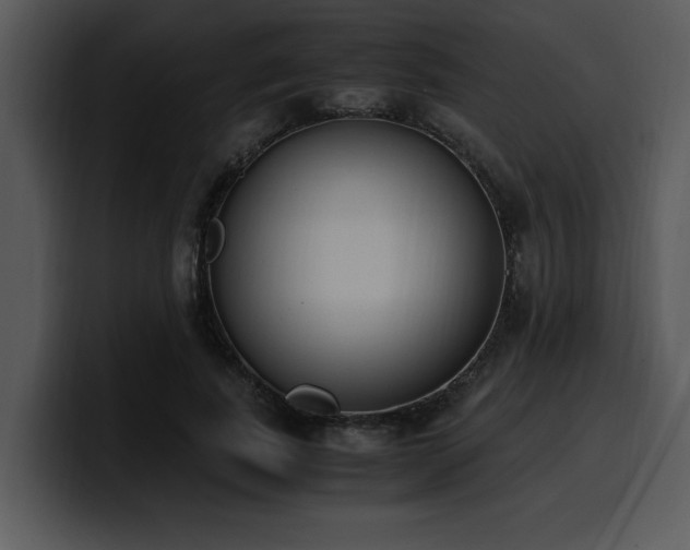 X0000100770739200806191240