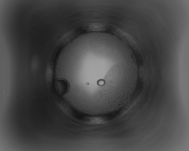 X0000100770741200806191241