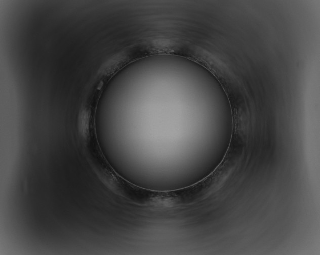 X0000100770742200806191241