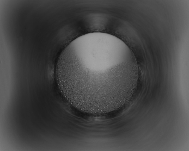 X0000100770745200806191241