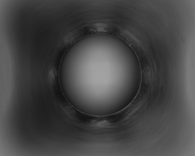 X0000100770747200806191241