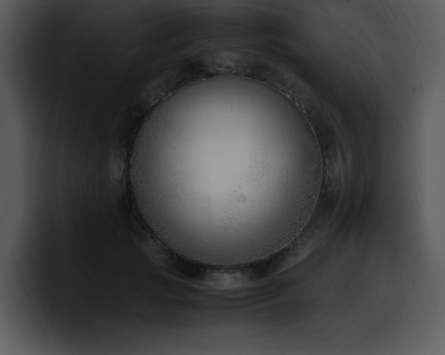X0000100770749200806191241