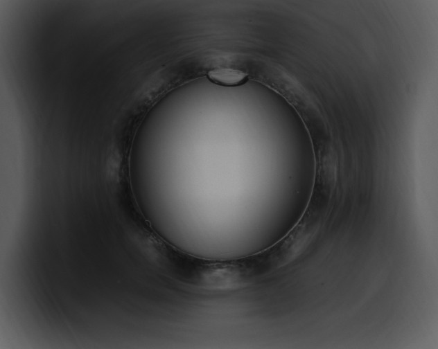 X0000100770750200806191241