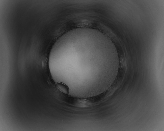 X0000100770753200806191241