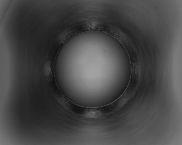 X0000100770754200806191241