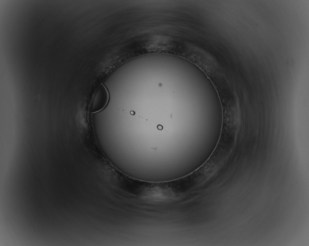 X0000100770755200806191241
