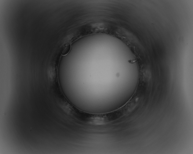 X0000100770756200806191241