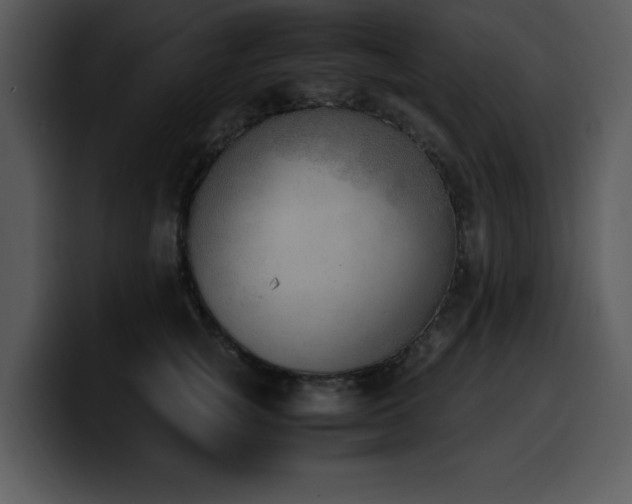 X0000100770757200806191241