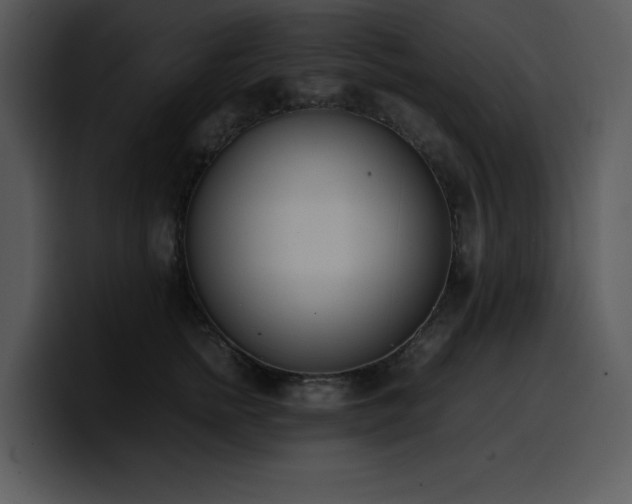 X0000100770758200806191241