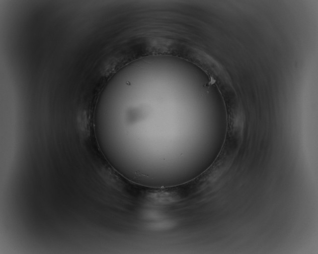 X0000100770759200806191241