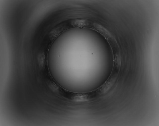 X0000100770760200806191241