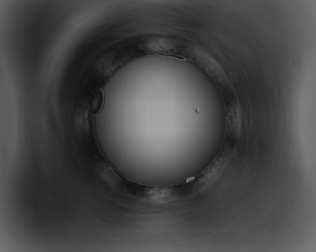 X0000100770762200806191241