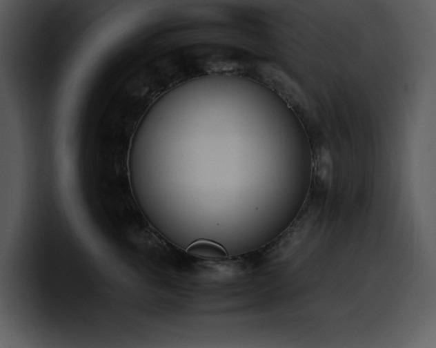 X0000100770763200806191241
