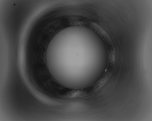 X0000100770764200806191241