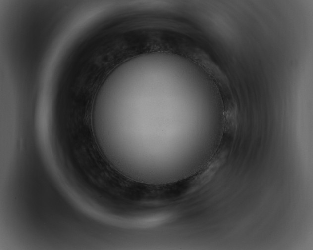 X0000100770765200806191241
