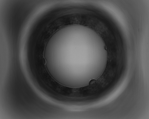 X0000100770766200806191241
