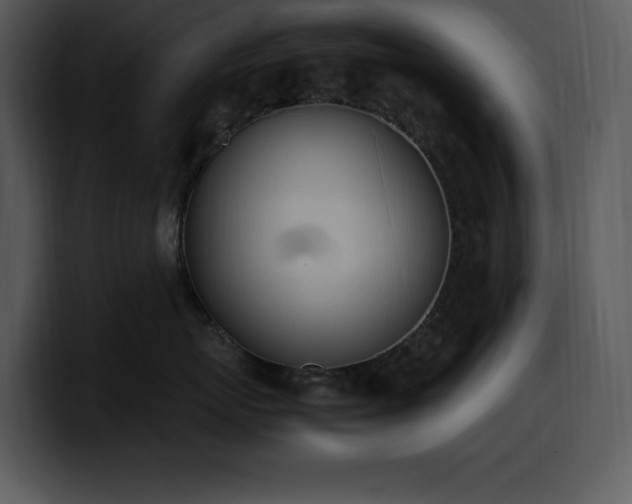 X0000100770767200806191241
