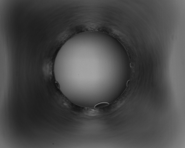 X0000100770768200806191241