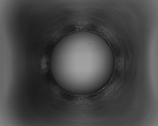 X0000100770770200806191240