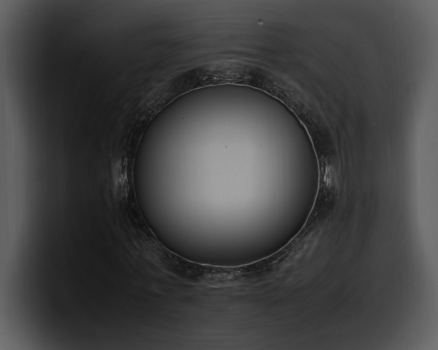 X0000100770771200806191240