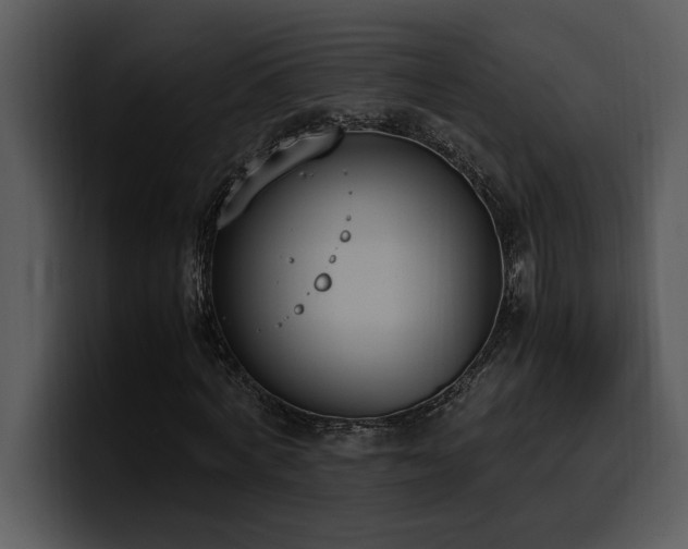 X0000100770772200806191240
