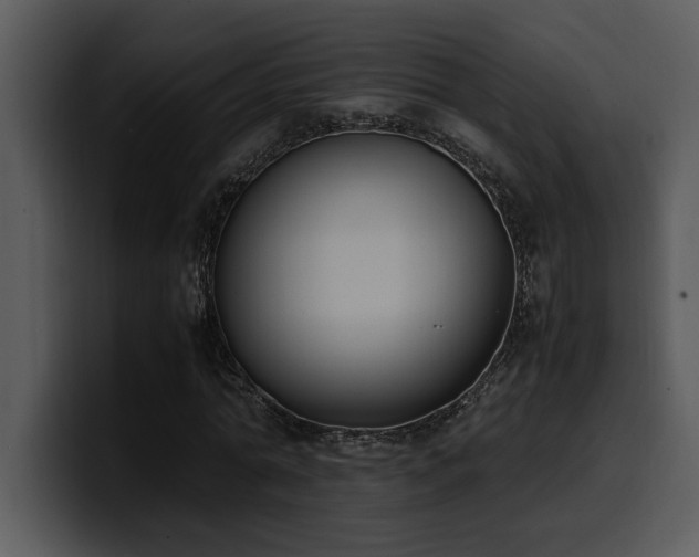 X0000100770774200806191240