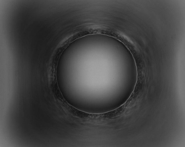 X0000100770775200806191240