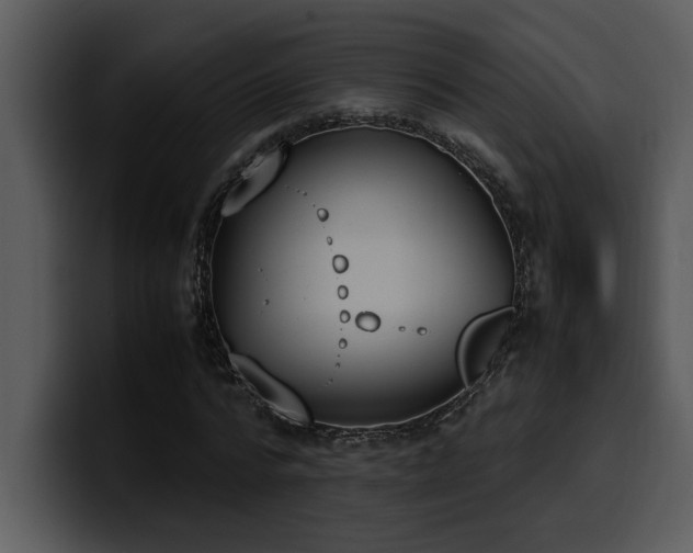 X0000100770776200806191240