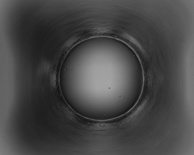 X0000100770777200806191240