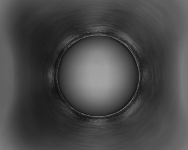 X0000100770778200806191240