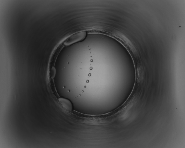 X0000100770780200806191240