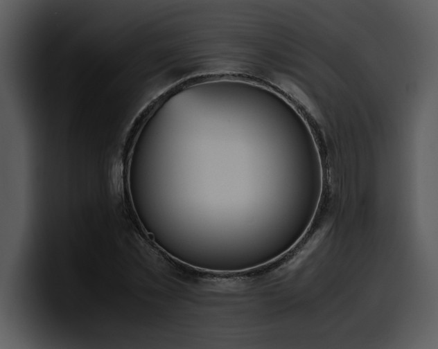 X0000100770781200806191240