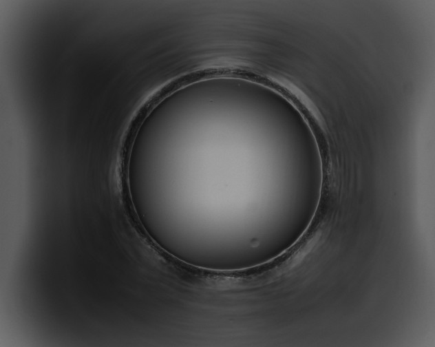 X0000100770783200806191240