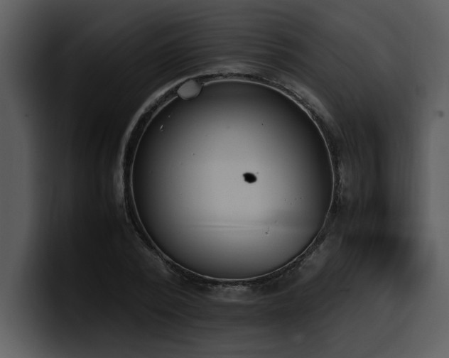 X0000100770784200806191240