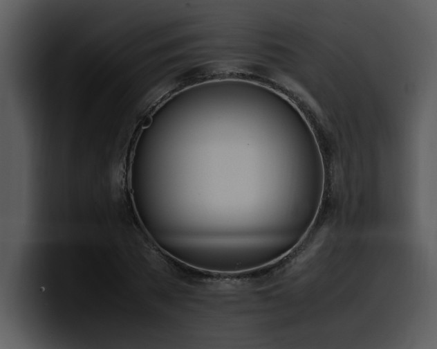 X0000100770785200806191240