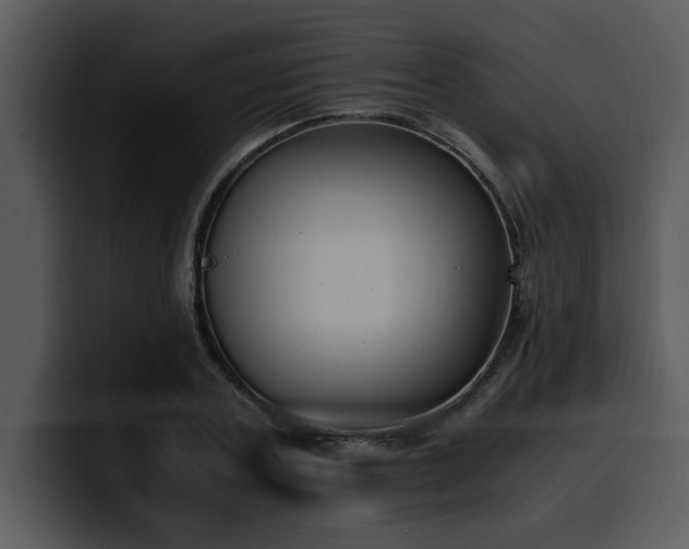 X0000100770787200806191240