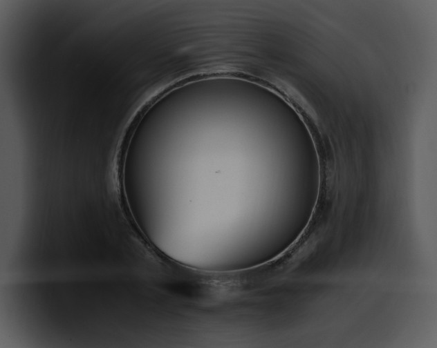 X0000100770789200806191240