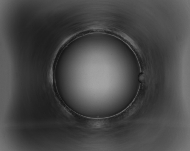 X0000100770791200806191240