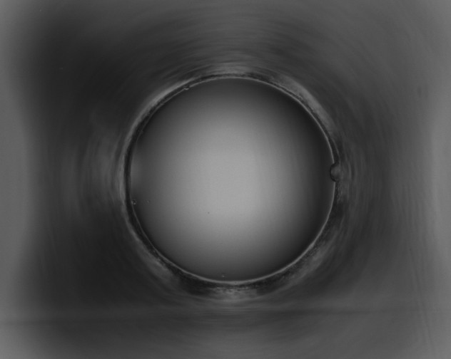X0000100770795200806191240
