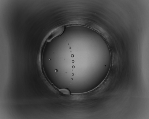 X0000100770796200806191240